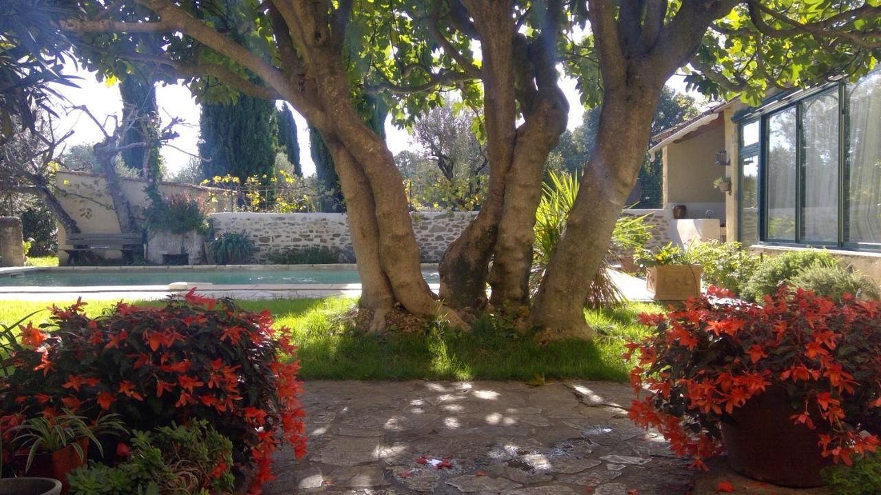 Sous Le Figuier... Apartamento Buisson Exterior foto