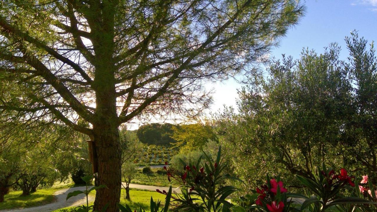 Sous Le Figuier... Apartamento Buisson Exterior foto